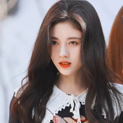 绿洲2024