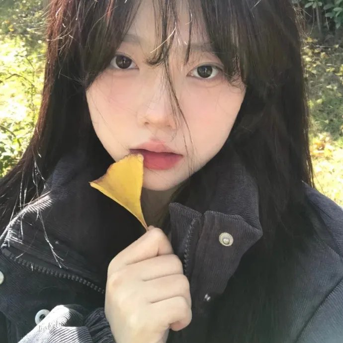 我叫布萨芭国语